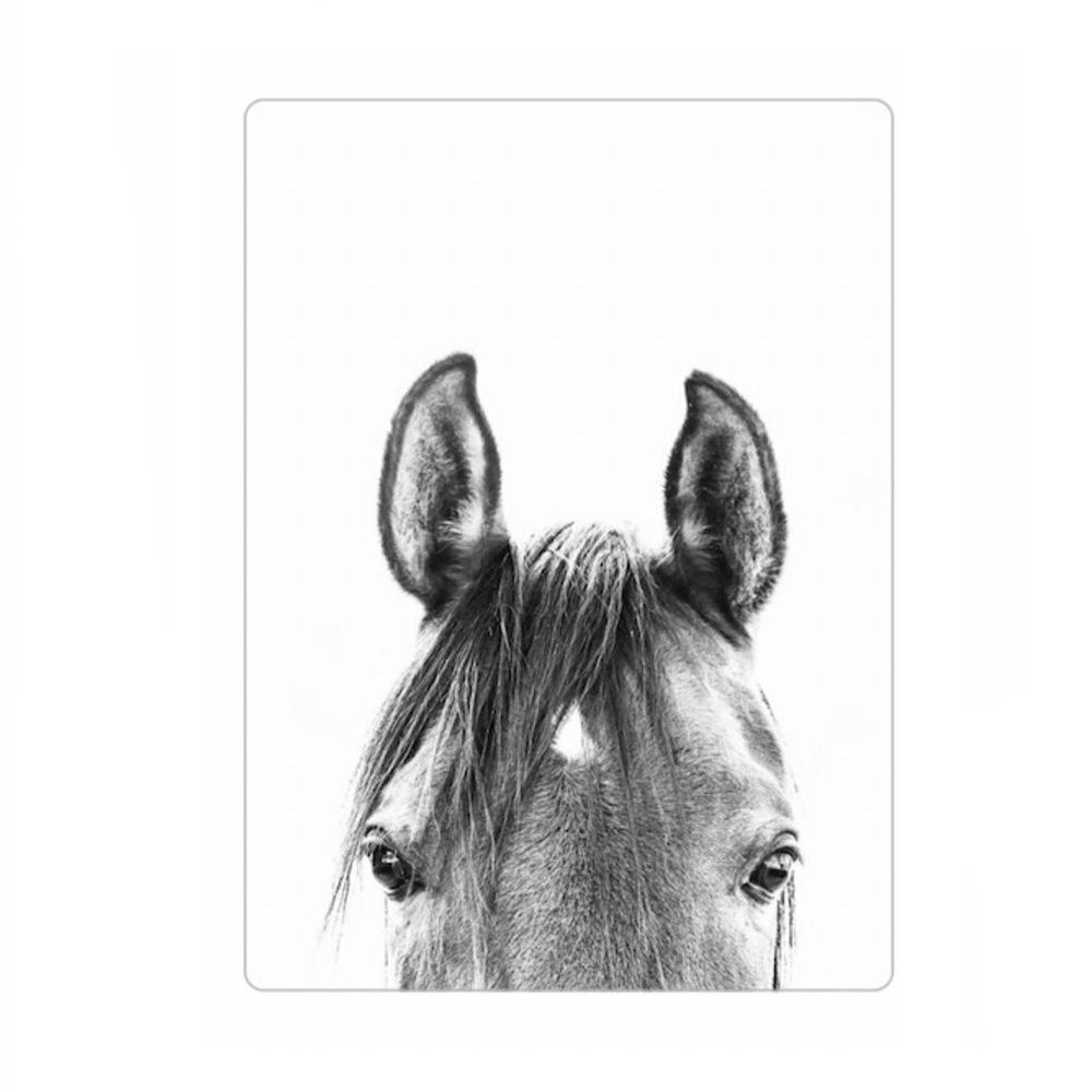 Horse Print Magnet